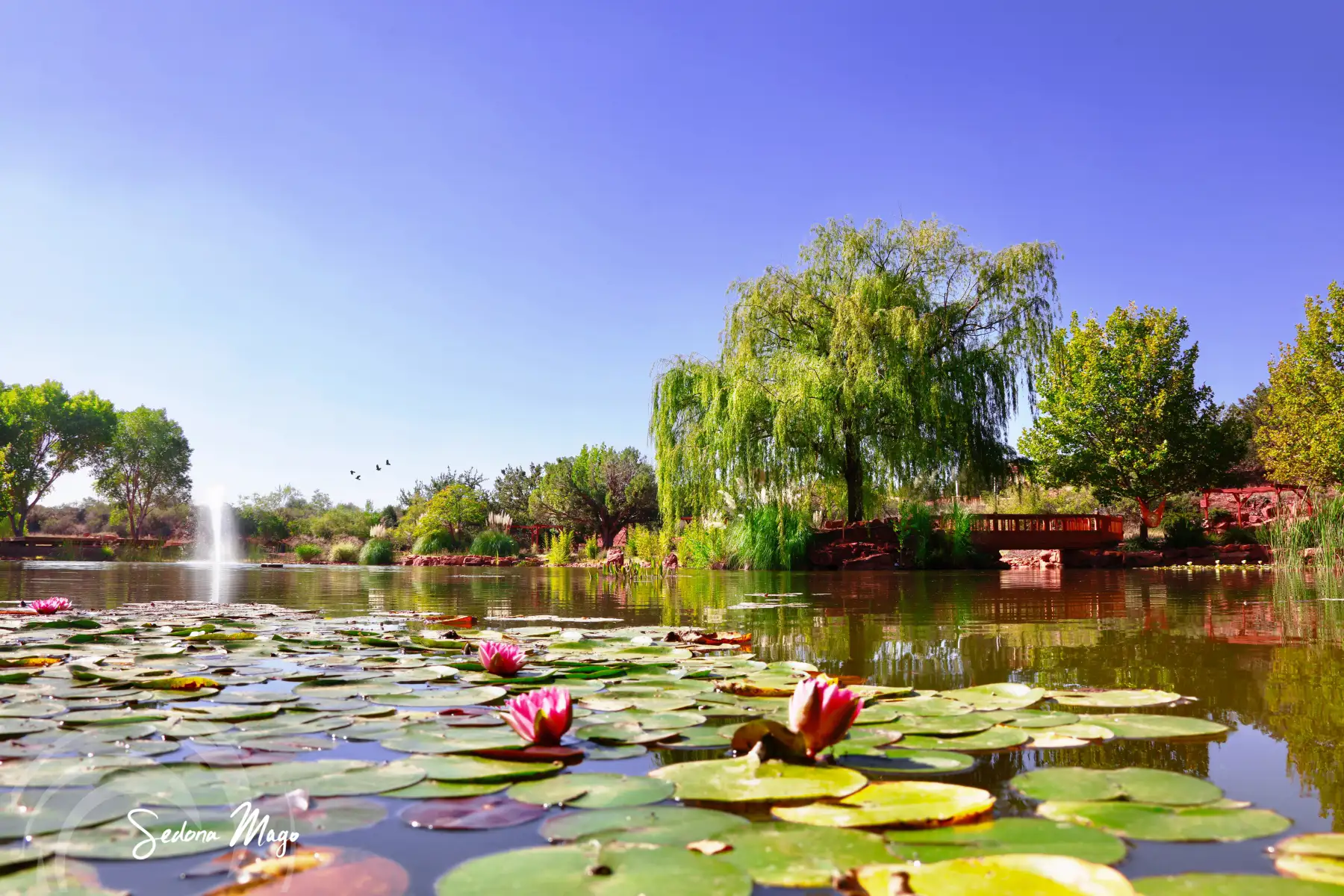 Healing Garden at Sedona Mago