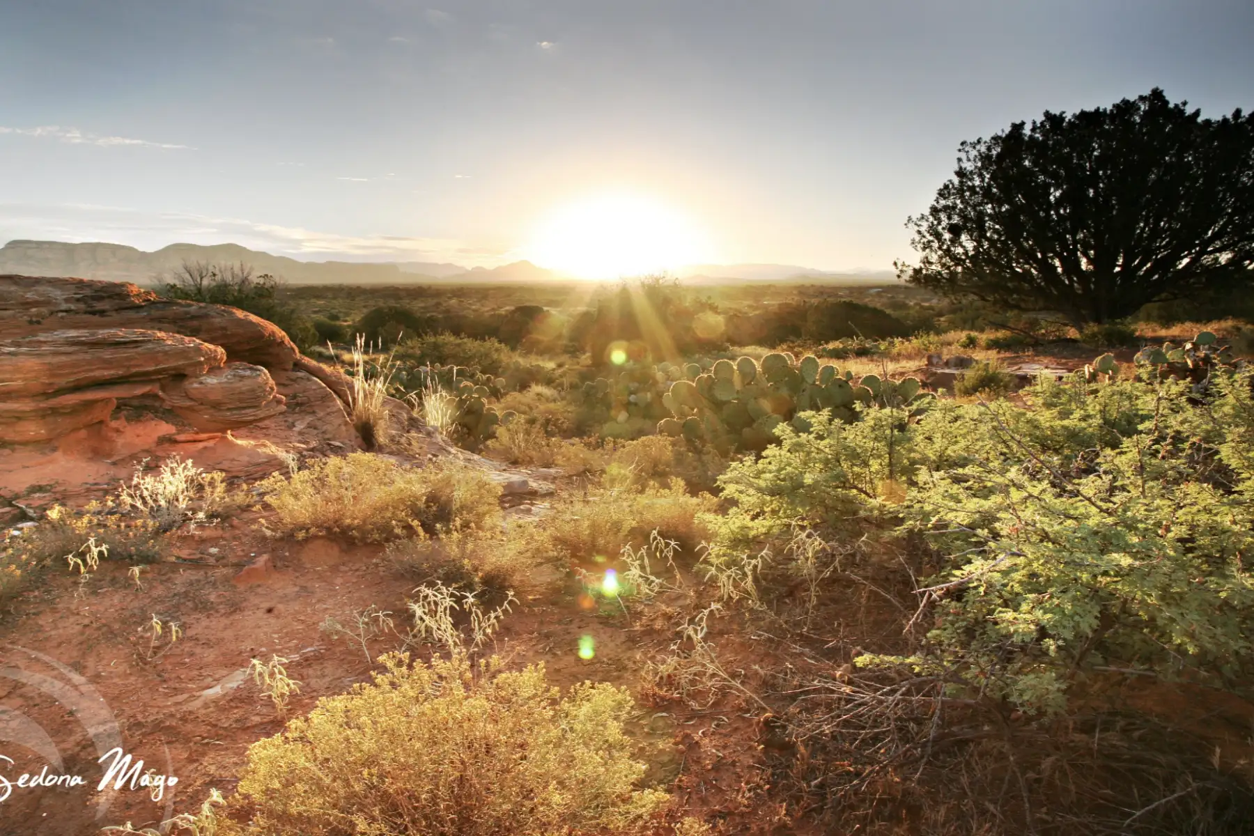 Sunset at Sedona Mago